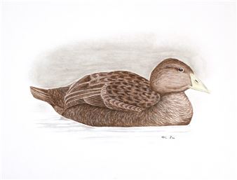 Aoudla Pudlat’s Birds - Feheley Fine Arts