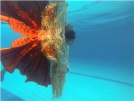 Latin American Foto Festival Expands Beyond the Bronx