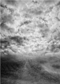 Traces - C. Grimaldis Gallery