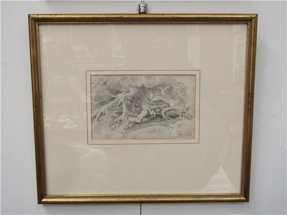 George Cuitt | George Cuitt of tree roots,cm xcm | MutualArt