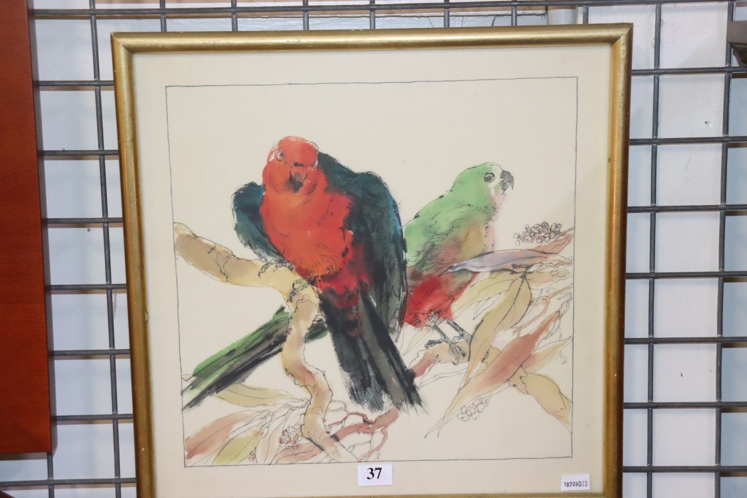 Donald H. Green | Parrots | MutualArt