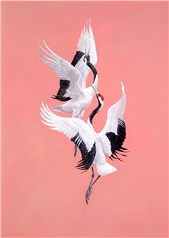 Summer Show - Jonathan Cooper
