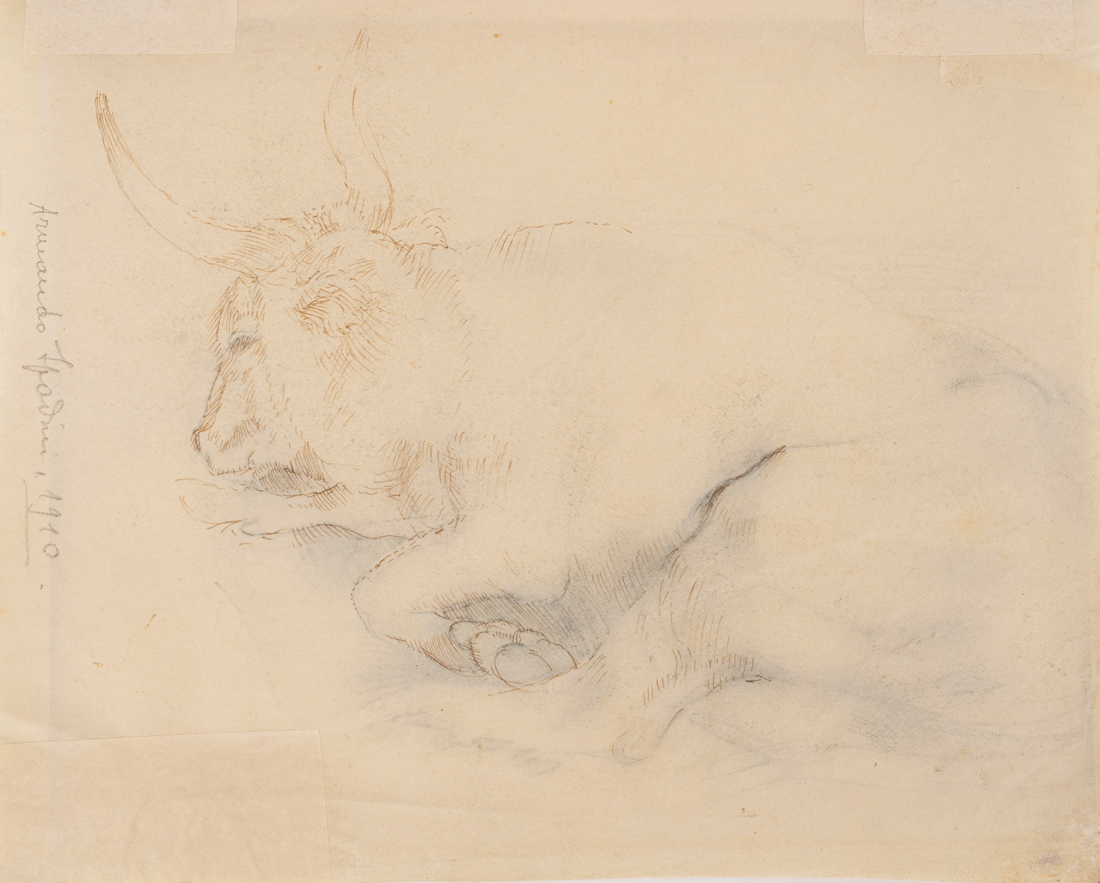Armando Spadini | Lying ox, 1910 (1910) | MutualArt