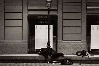 Hermes , 2012 - Alessandro Dobici