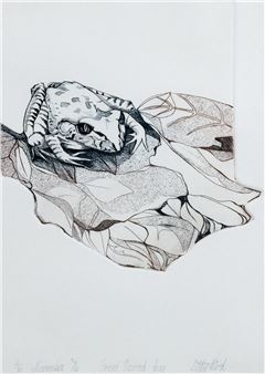Great Barred Frog 1976 - Libby Pilkington Hirsh