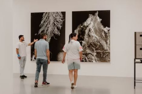 The Lives of Animals - M HKA, Museum of Contemporary Art Antwerp