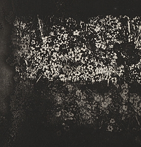 Tadayoshi Nakabayashi | Dislocation '87-earth-IV (1987) | MutualArt