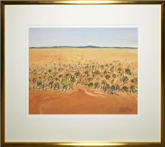 A SUNBURNT LAND - Sian Dodd