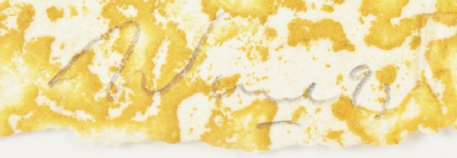 Artwork by Alain Soucasse, Sweden. Signed, Made of ETCHING