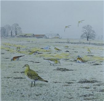 HARRIS, ALAN (born 1957) British (AR), Golden Plover, watercolour - Alan Harris