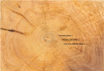 Tiffany Shlain: You Are Here - Nancy Hoffman Gallery