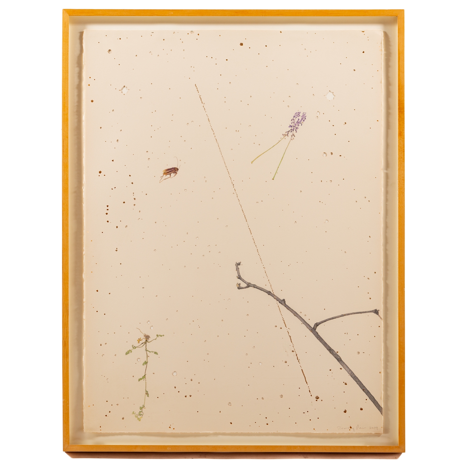 Artwork by Beverly Ress, Untitled, Made of Colored pencil on paper