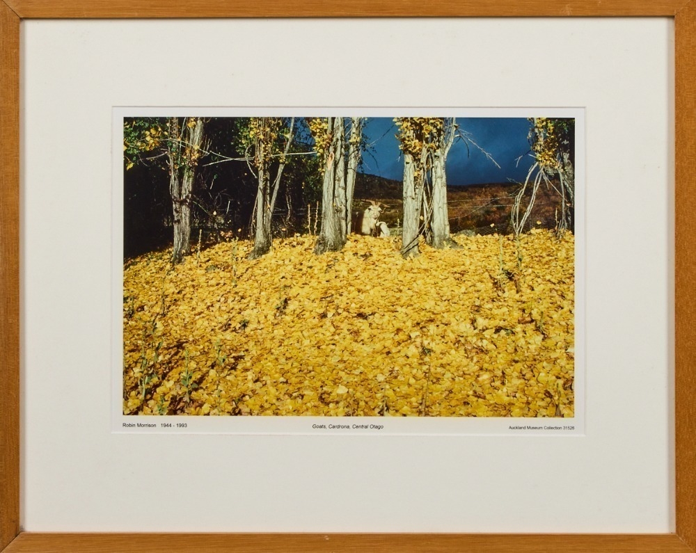 Robin Morrison | A Print of Goats, Cardrona, Central Otago by Robin ...