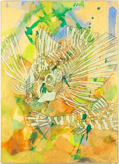 Gabriel Orozco - White Cube, Seoul