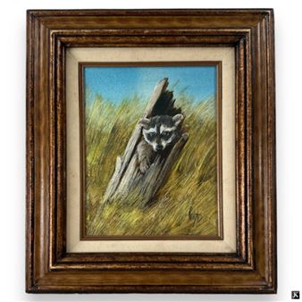 Donna Gibbs Oil/Canvas "Raccoon - Donna Wojek Gibbs