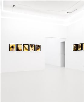 Martin Neumaier: My Name Is Martin Neumaier - Galerie Kai Erdmann