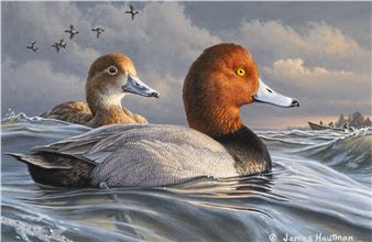 Conservation Through The Arts: Celebrating The Federal Duck Stamp - Bruce Museum