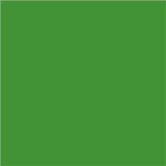 Green is the color - Galerie Michel Rein, Paris