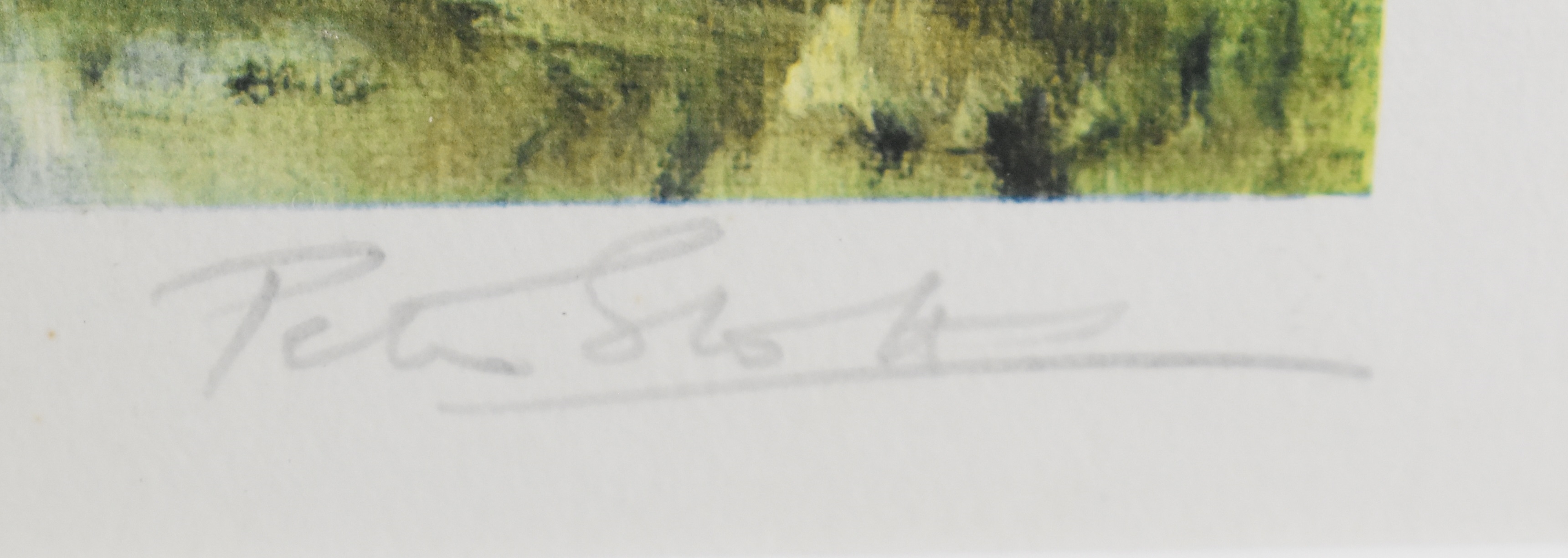 Peter Markham Scott | Peter Scott (1909-1989) signed print of geese in ...