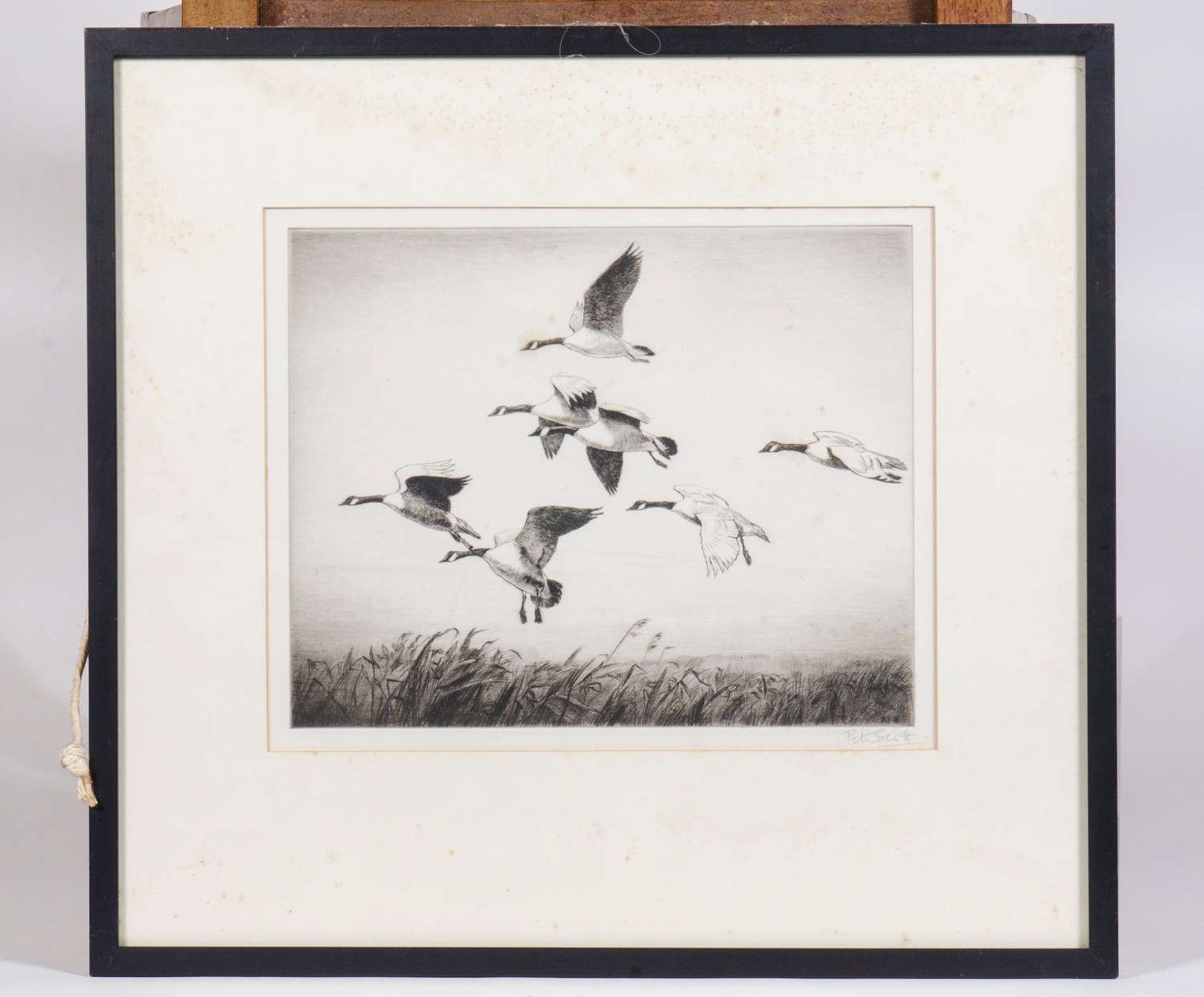 Peter Scott | A signed Peter Scott etching Flight of Geese | MutualArt