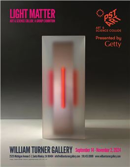 Light Matter: Art & Science Collide: A Group Exhibition - William Turner Gallery
