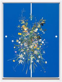Stephen Eichhorn: Voidground