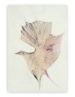 Senza Titolo - Lia Crippa