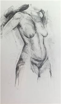 a large charcoal nude study - Carol Peace
