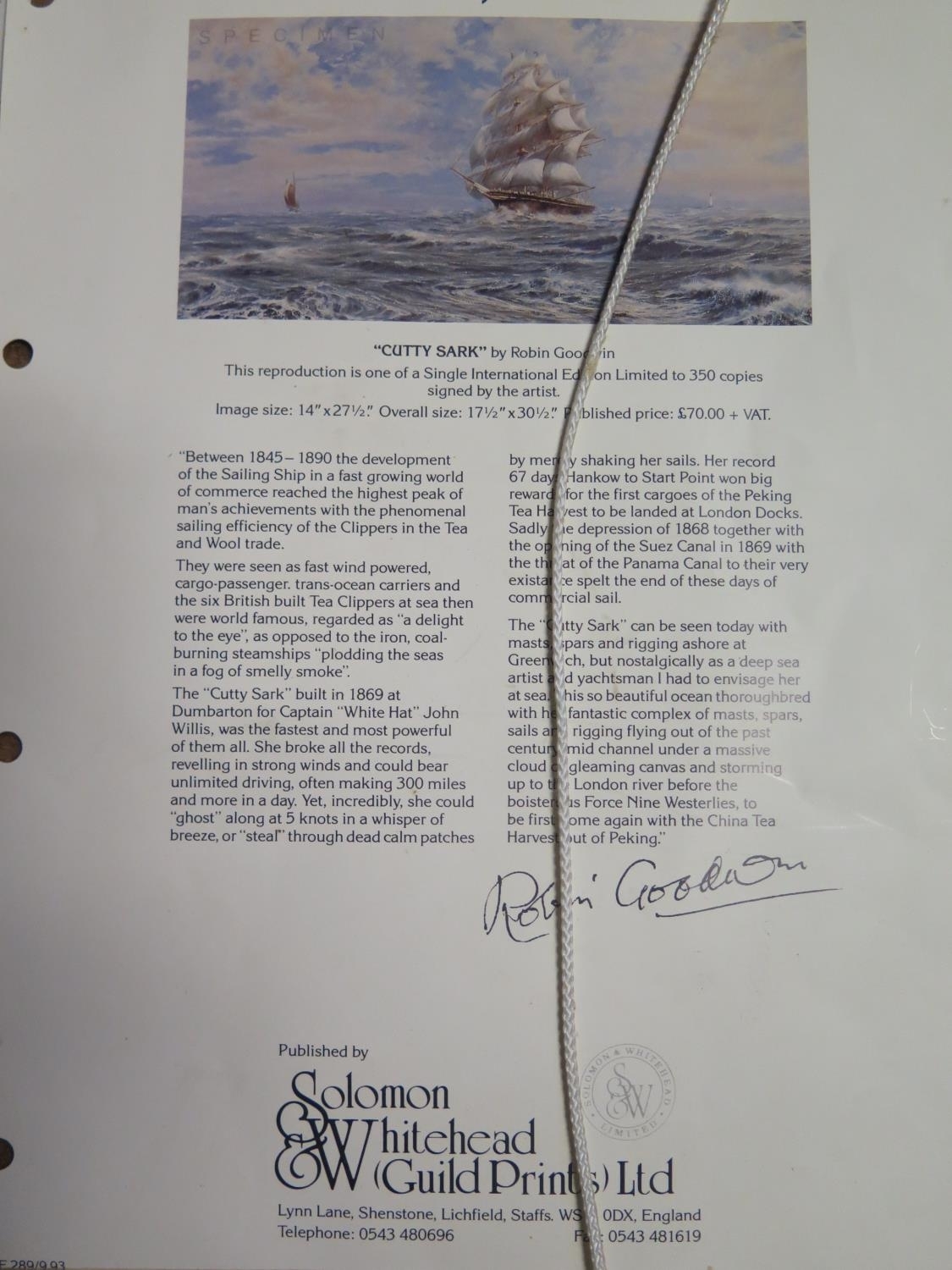 Robin Goodwin | Robin Goodwin | MutualArt