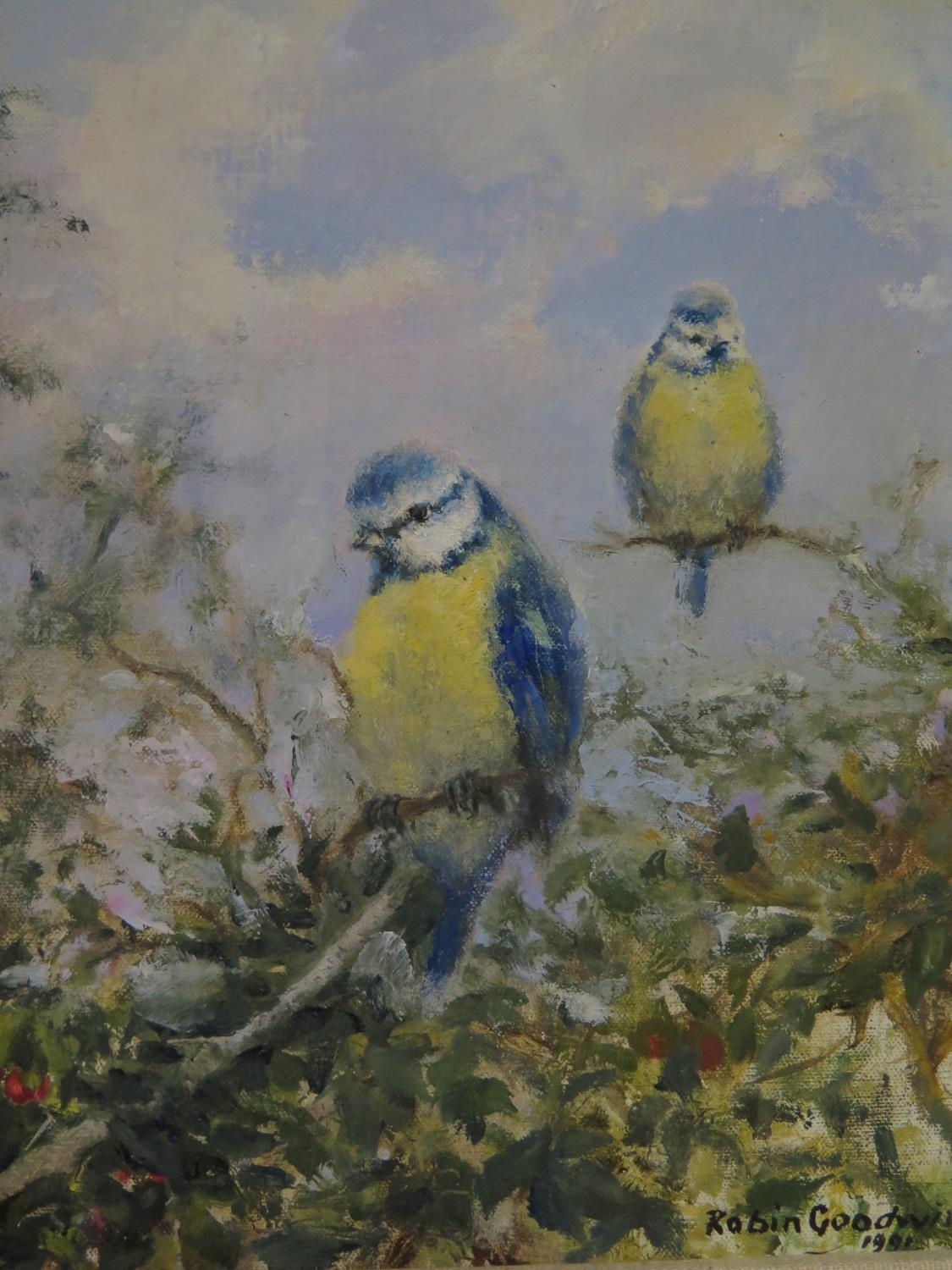 Robin Goodwin | Robin Goodwin (1991) | MutualArt