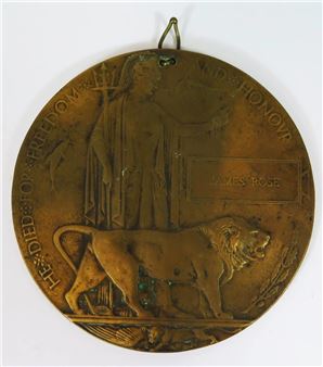 A WWI Widow - James Rose