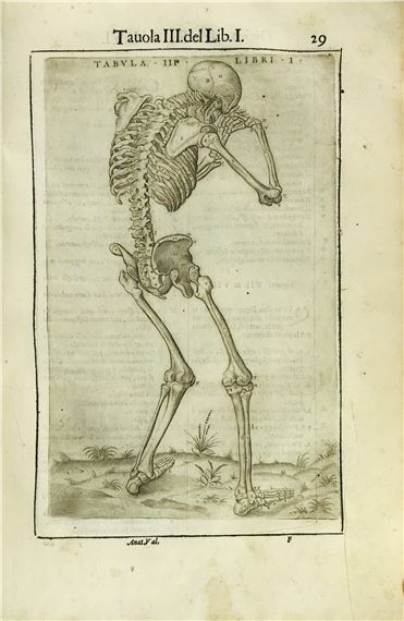 Anatomy - Lucantonio Giunti