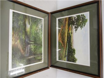 David Crane ltd edition prints 'Poppy Time' and 'Bluebell path' 55x45cm - David Crane