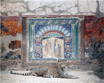 Karen Knorr: Intersections - Sundaram Tagore, New York