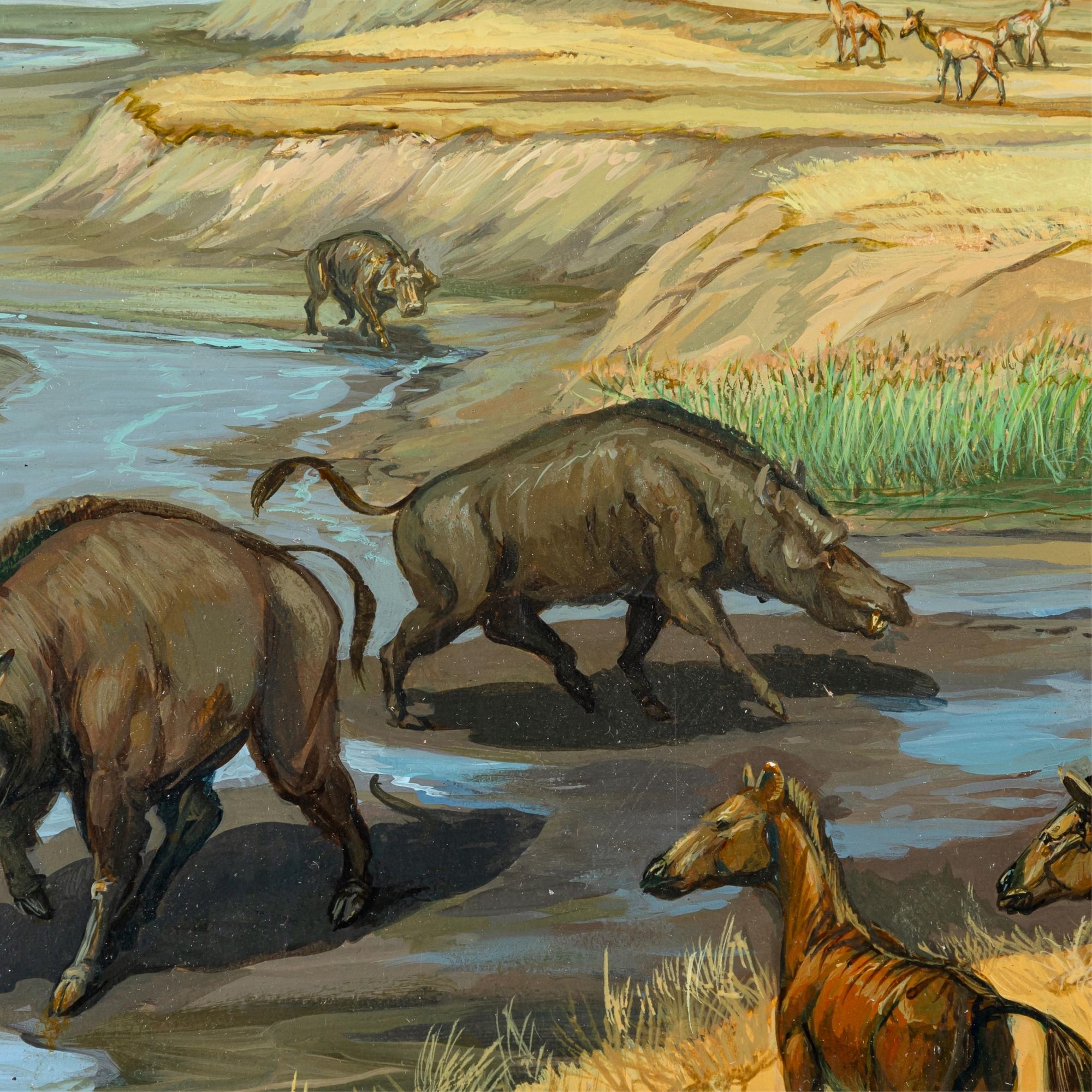 Michael Rothman | Miocene Era Habitat Group, North America | MutualArt