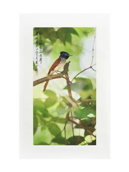 The sound of birds singing on the green branches - Xiao Ping