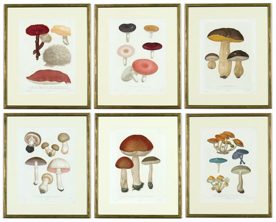 JOSEPH ROQUES, Mushrooms by Joseph Roques, 1864