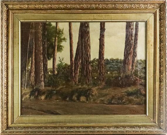 Pinos by Tomàs Viver  Aymerich