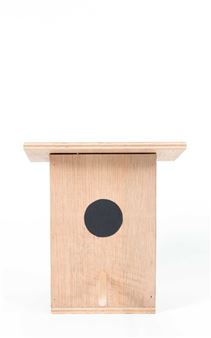 Udo Koch (1958 Offenbach – lebt in Frankfurt am Main - Udo Koch