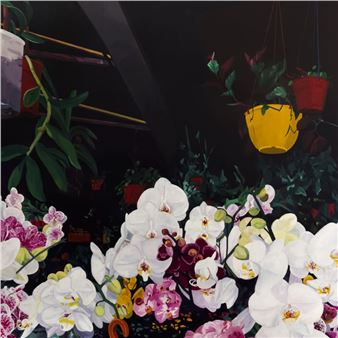 Francisco Diaz Scotto: Tales of Night Cracks - Hashimoto Contemporary, New York