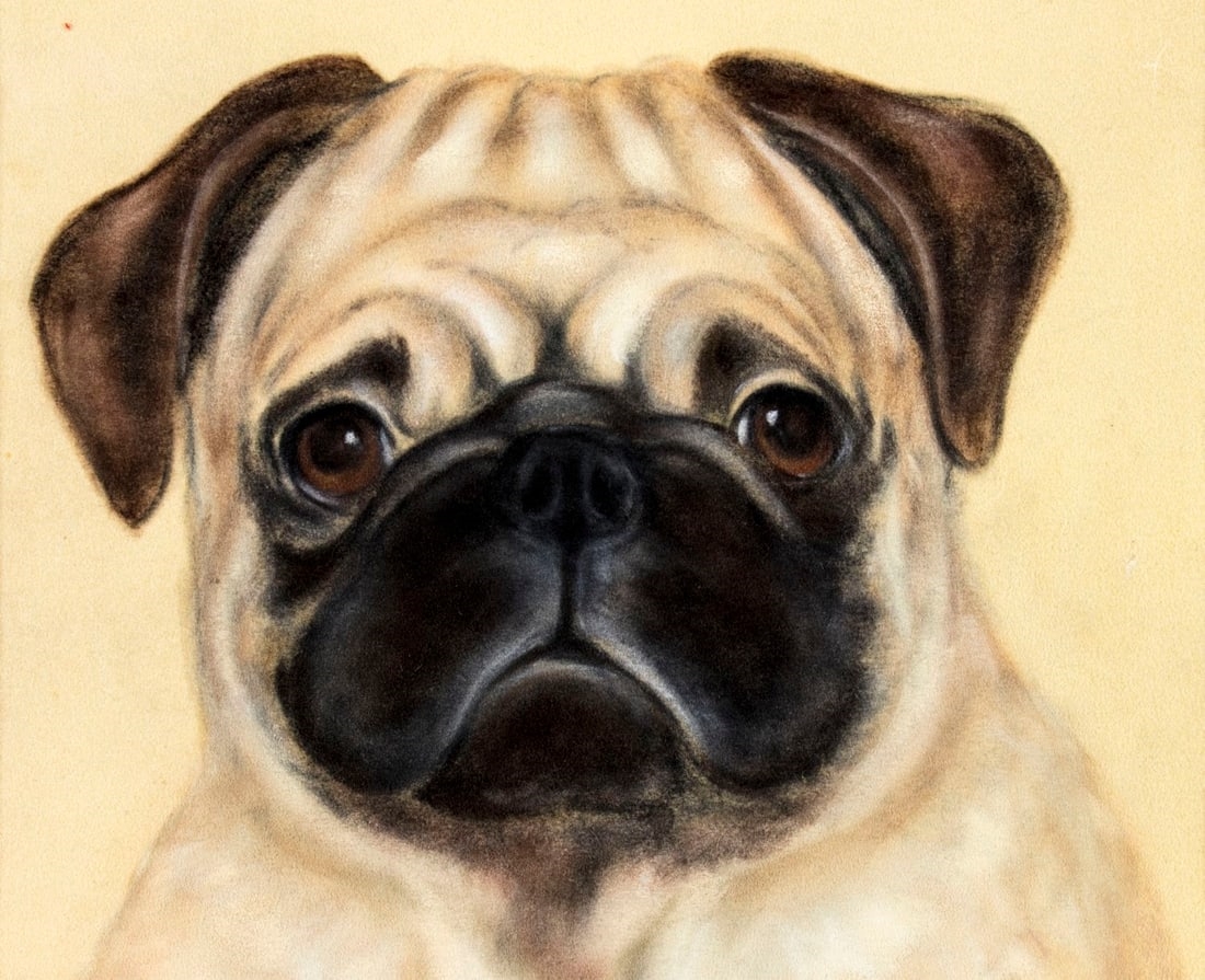June Witthans Henke | Pug Dog | MutualArt