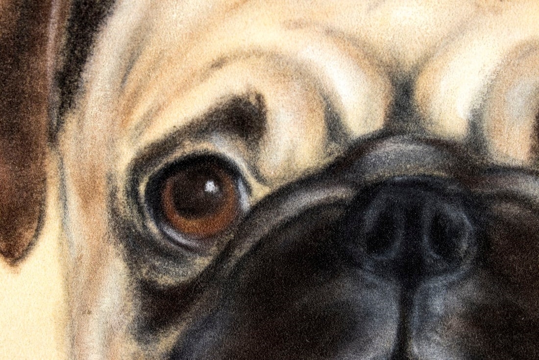 June Witthans Henke | Pug Dog | MutualArt
