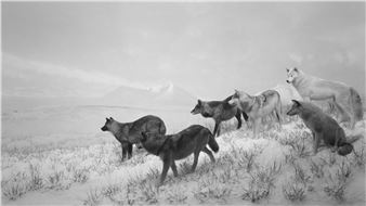 In Conversation: A Photographic Dialogue Between Japan and Korea - Christophe Guye Galerie