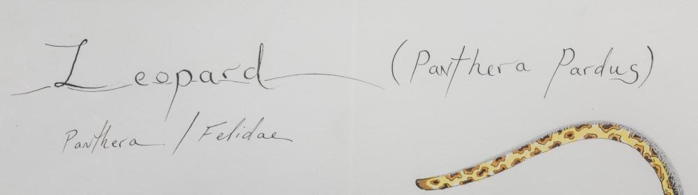 Artwork by Alex Beard, Two Works on Paper, Made of pen and ink on paper