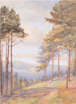 extensive landscape - Gladys Bennett