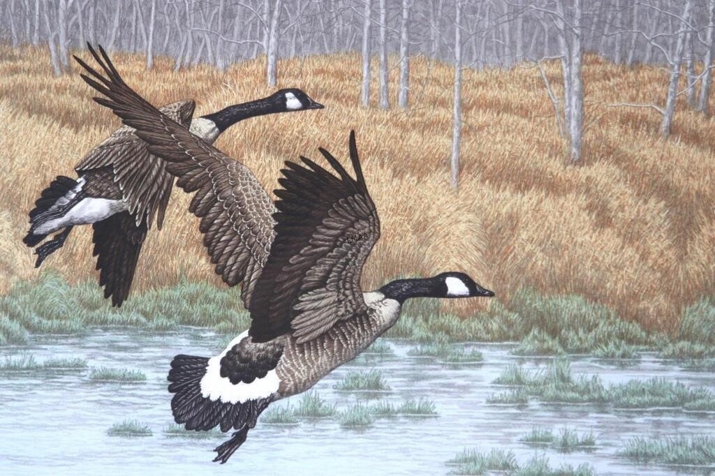 Chris Forrest | CHRIS FARREST GEESE LANDING | MutualArt