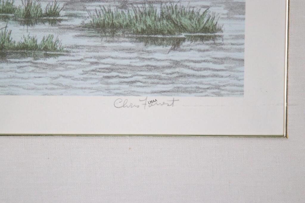 Chris Forrest | CHRIS FARREST GEESE LANDING | MutualArt