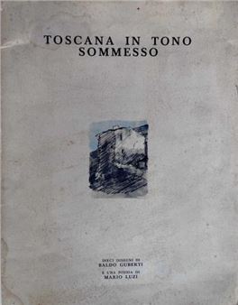 Libro artistico - Baldo Guberti
