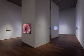 “Observing My Distant Self”—Kang Chunhui’s Journey to the Inner Land