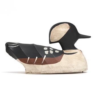 Hooded Merganser - William Mosley